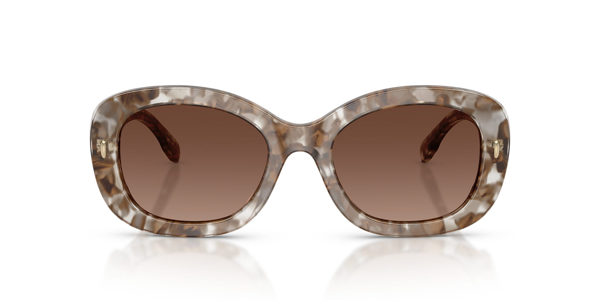 Transparent Brown Tortoise