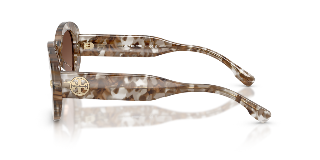 Transparent Brown Tortoise