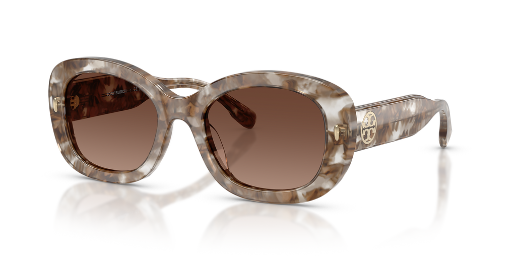 Transparent Brown Tortoise