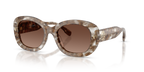 Transparent Brown Tortoise