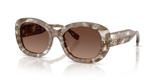 Transparent Brown Tortoise
