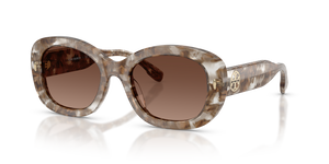 Transparent Brown Tortoise  - Polar Light Brown Gradient