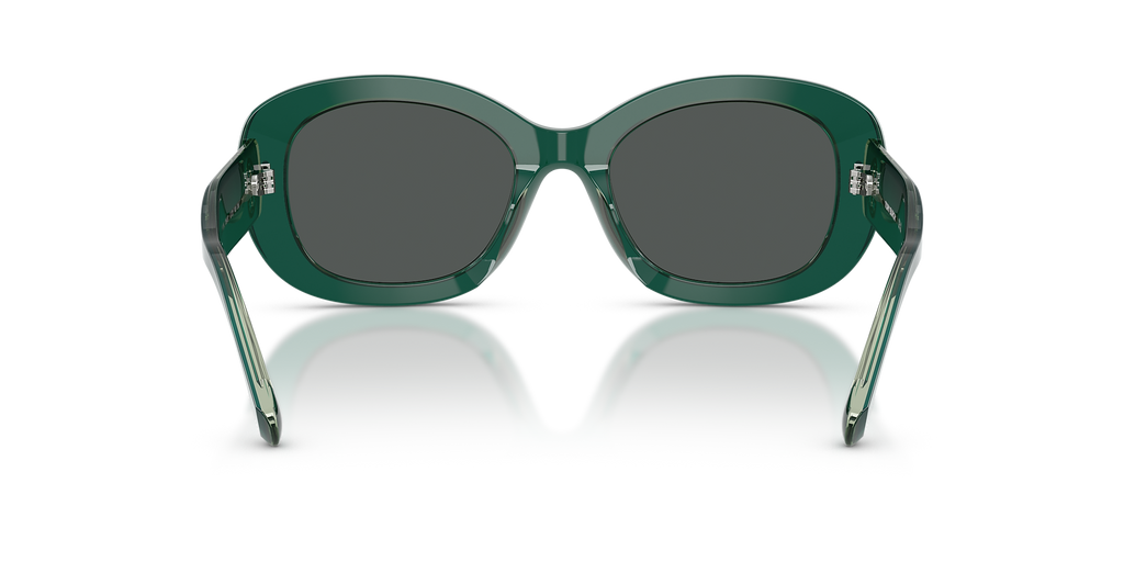 Dark Green/Transparent Sage