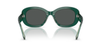 Dark Green/Transparent Sage