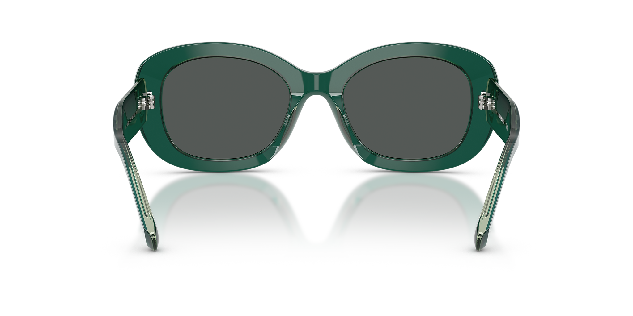 Dark Green/Transparent Sage