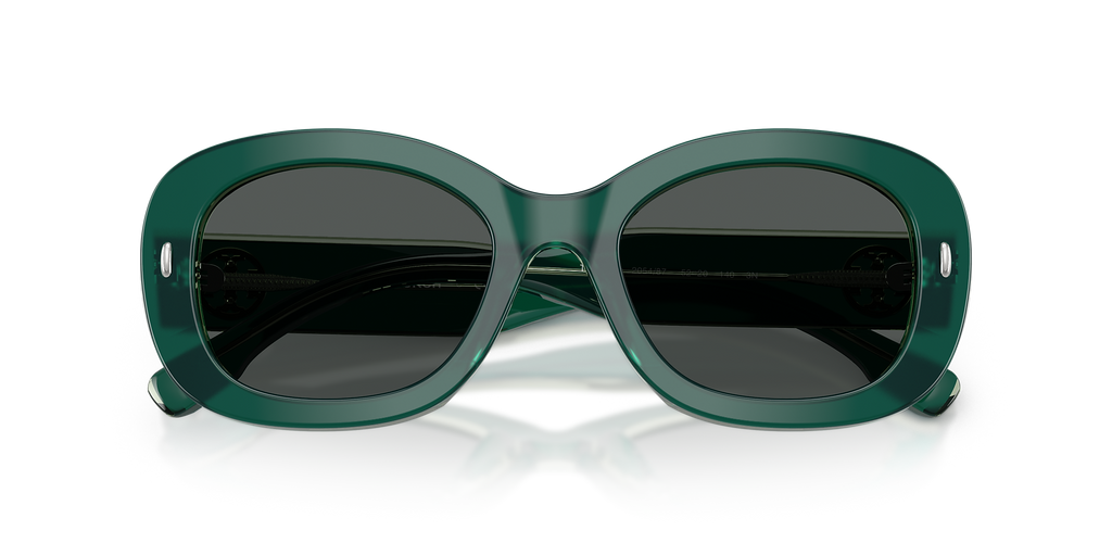 Dark Green/Transparent Sage