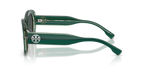 Dark Green/Transparent Sage