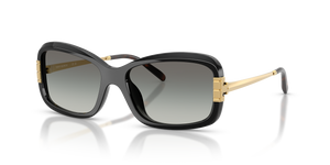 Black  - Grey Gradient