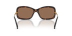 Tortoise
