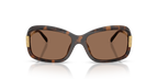 Tortoise