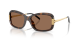 Tortoise  - Dark Brown