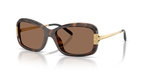Tortoise  - Dark Brown