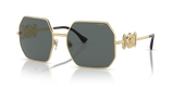 Gold - Polar Dark Grey