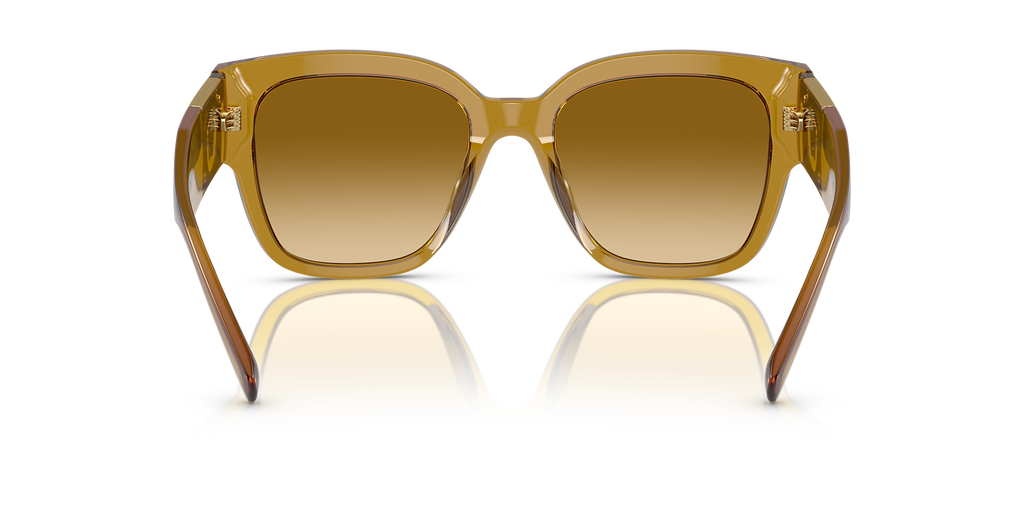 Transparent Honey