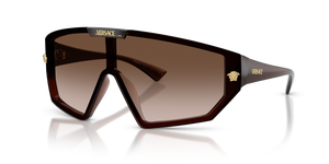 Transparent Brown - Brown Gradient
