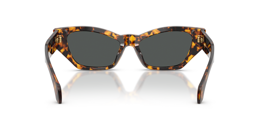 Havana Tortoise