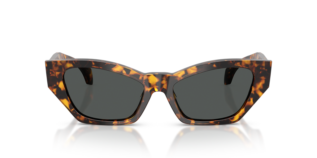 Havana Tortoise