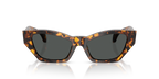 Havana Tortoise