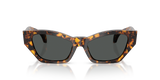 Havana Tortoise