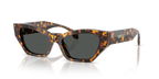 Havana Tortoise