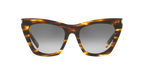Tortoise Brown