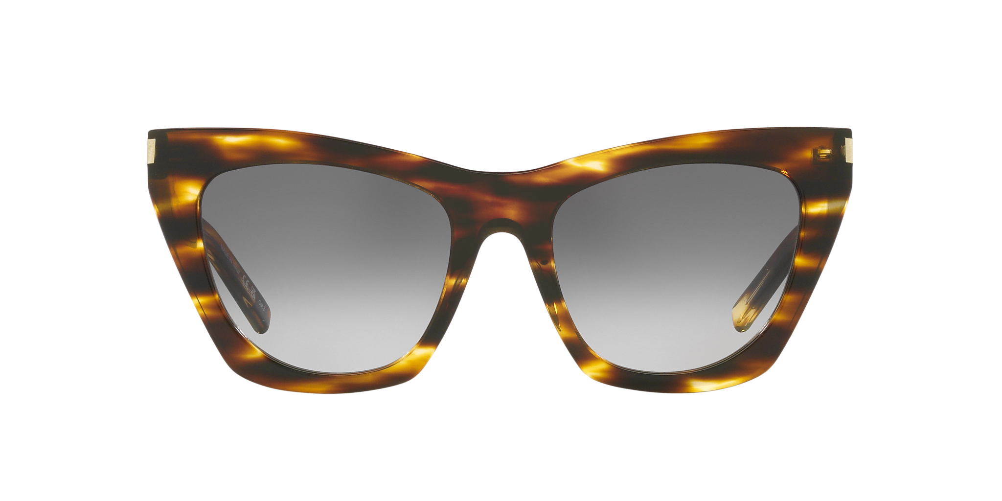 Tortoise Brown