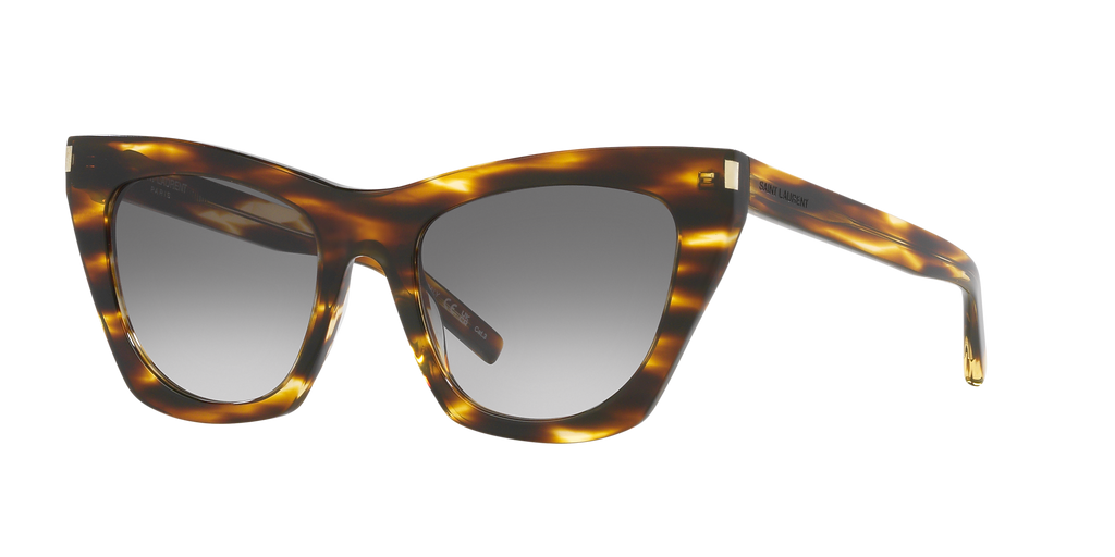 Tortoise Brown