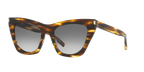 Tortoise Brown