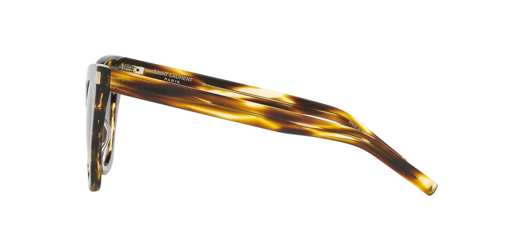 Tortoise Brown