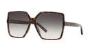 Tortoise