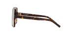 Tortoise
