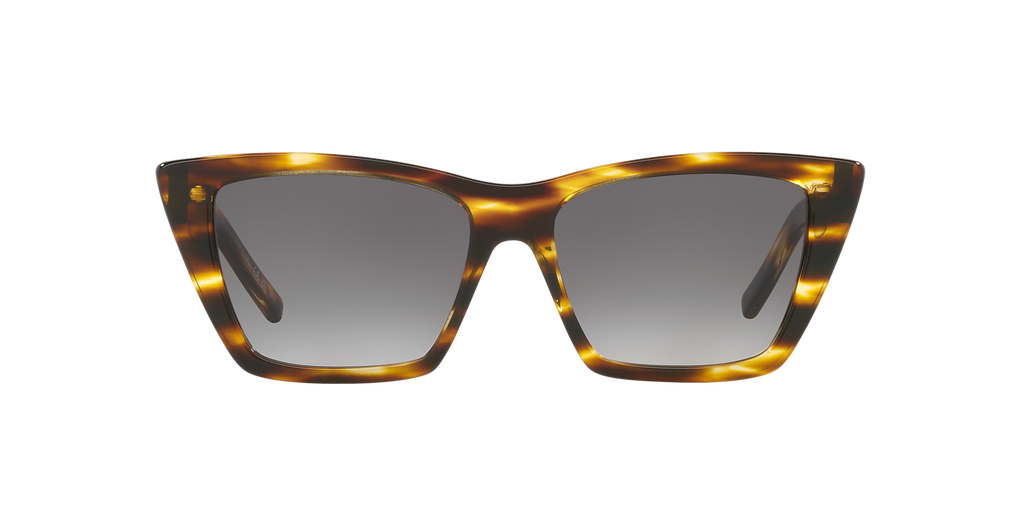 Tortoise Light