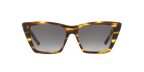 Tortoise Light