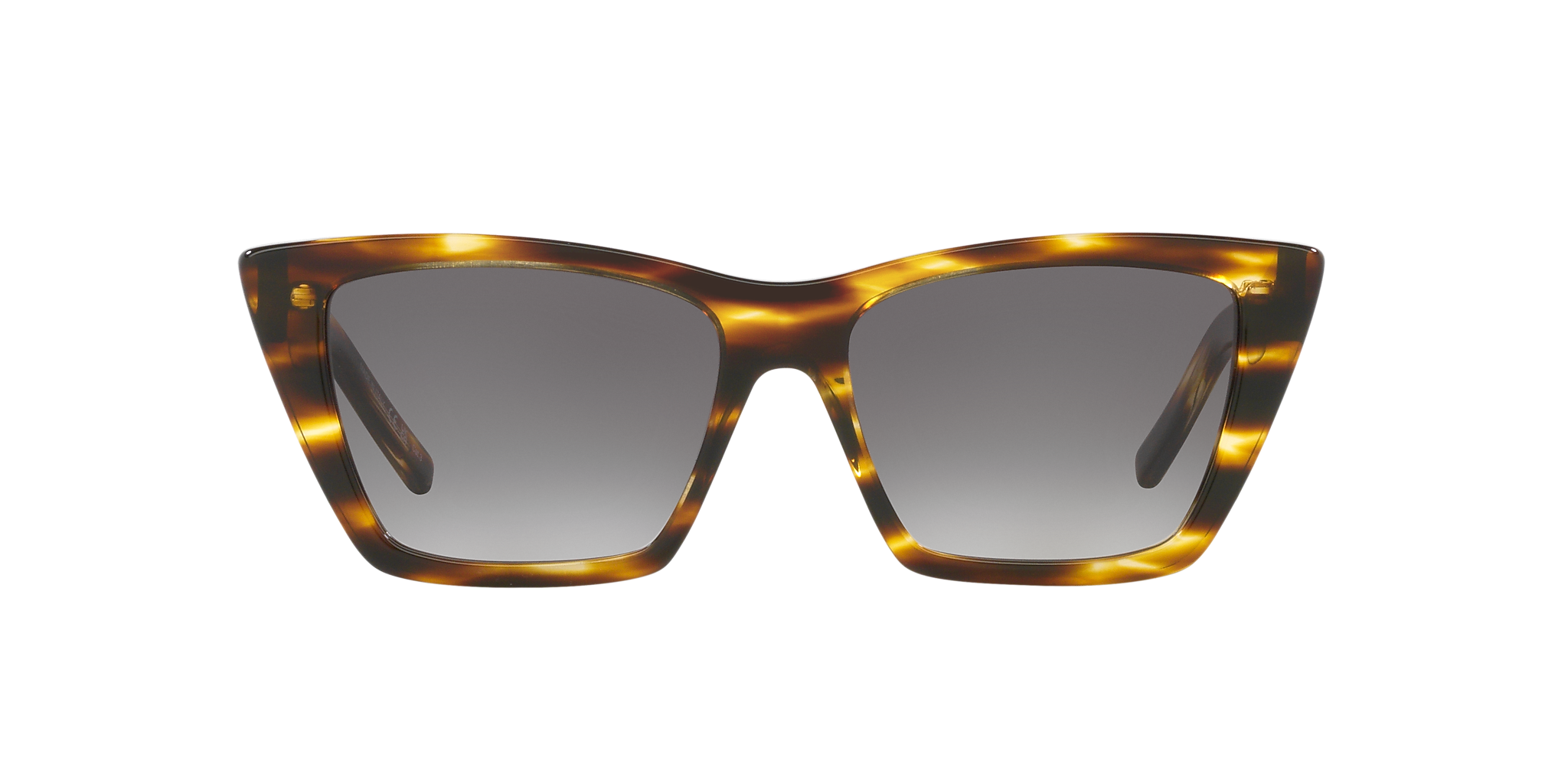 Tortoise Light