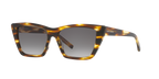 Tortoise Light