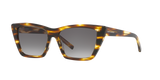 Tortoise Light - Grey