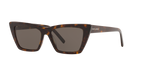Tortoise