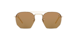 Gold Brown