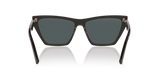 Black Shiny