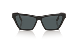 Black Shiny