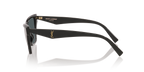 Black Shiny