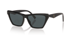 Black Shiny