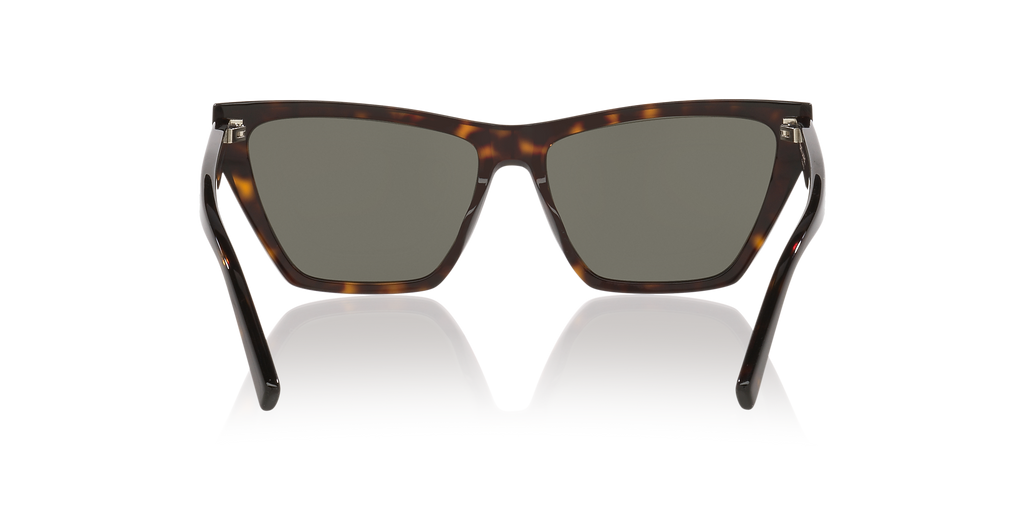 Tortoise Grey