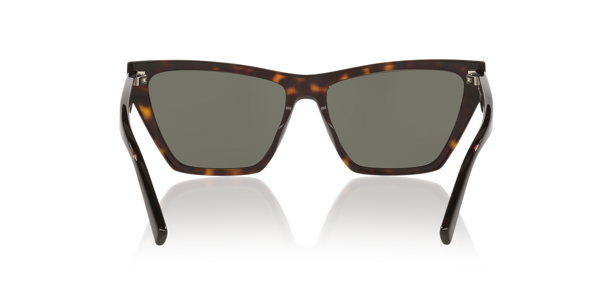 Tortoise Grey