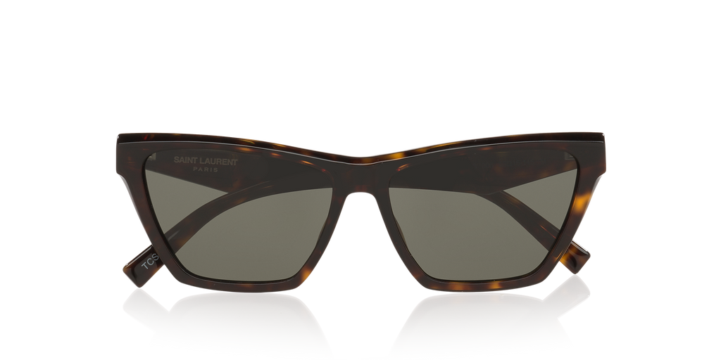Tortoise Grey