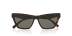 Tortoise Grey