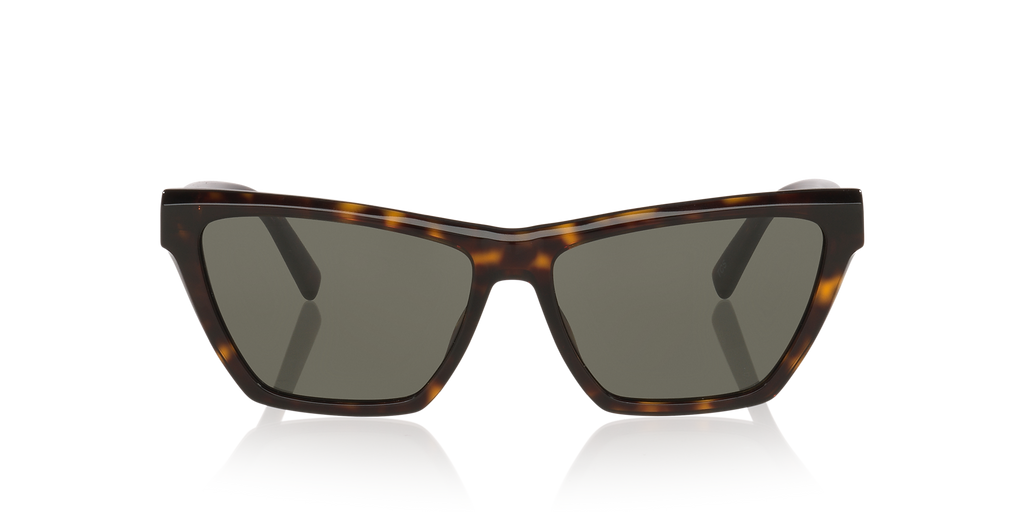 Tortoise Grey