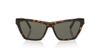 Tortoise Grey