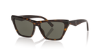 Tortoise Grey