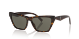 Tortoise Grey - Grey